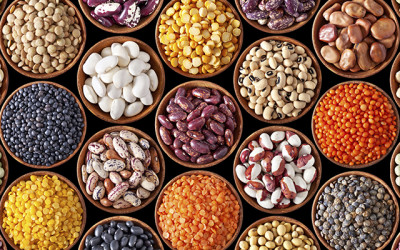 She Sweats: Protein Substitutes