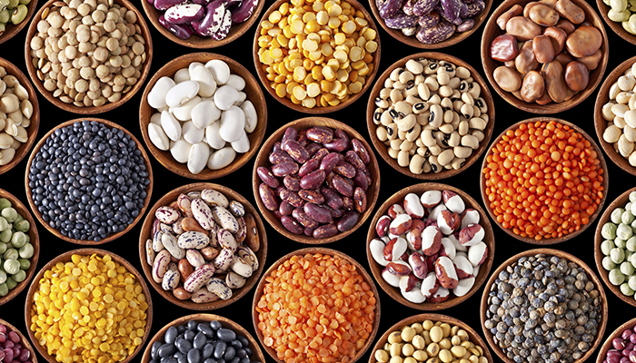 She Sweats: Protein Substitutes