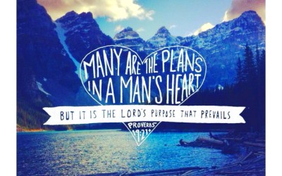 She Connects: Surrendering Your Plan for His Will