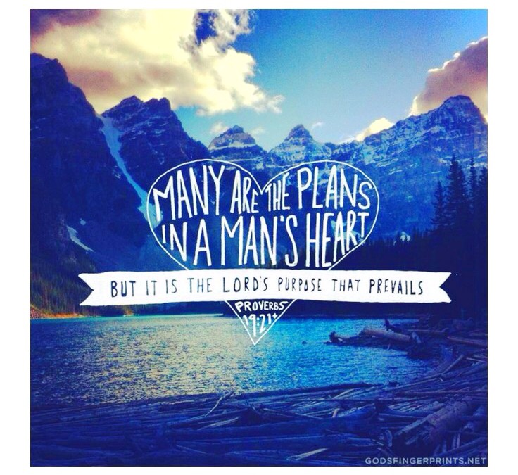 She Connects: Surrendering Your Plan for His Will