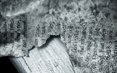 She Empower: Fuel Your Words