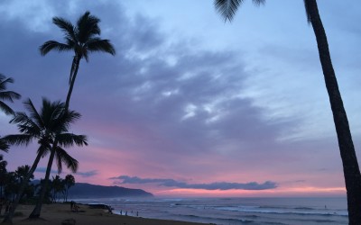 She Connects: The Disguise of Aloha